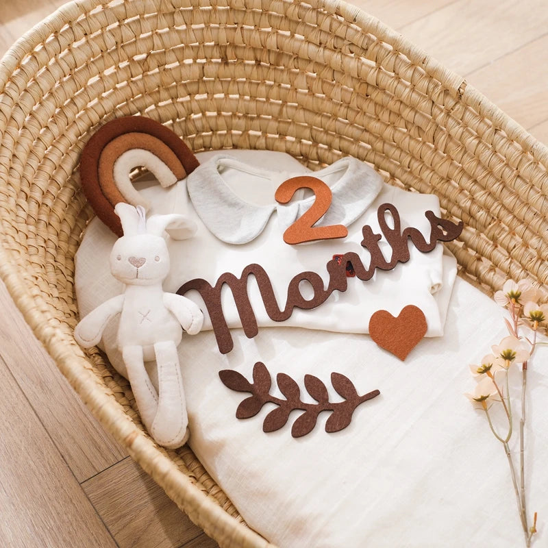 Felt 0 12 month Newborn Photography Props Milestone Newborn Accessories Photography Shooting Prop Baby Room Decorate Accessories