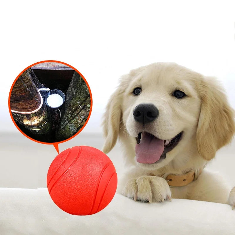 Pet Dog Toys Dog Ball Dog Bouncy Rubber Solid Ball Resistance to Dog Chew Toys Outdoor Throwing and Recovery Training for Dogs