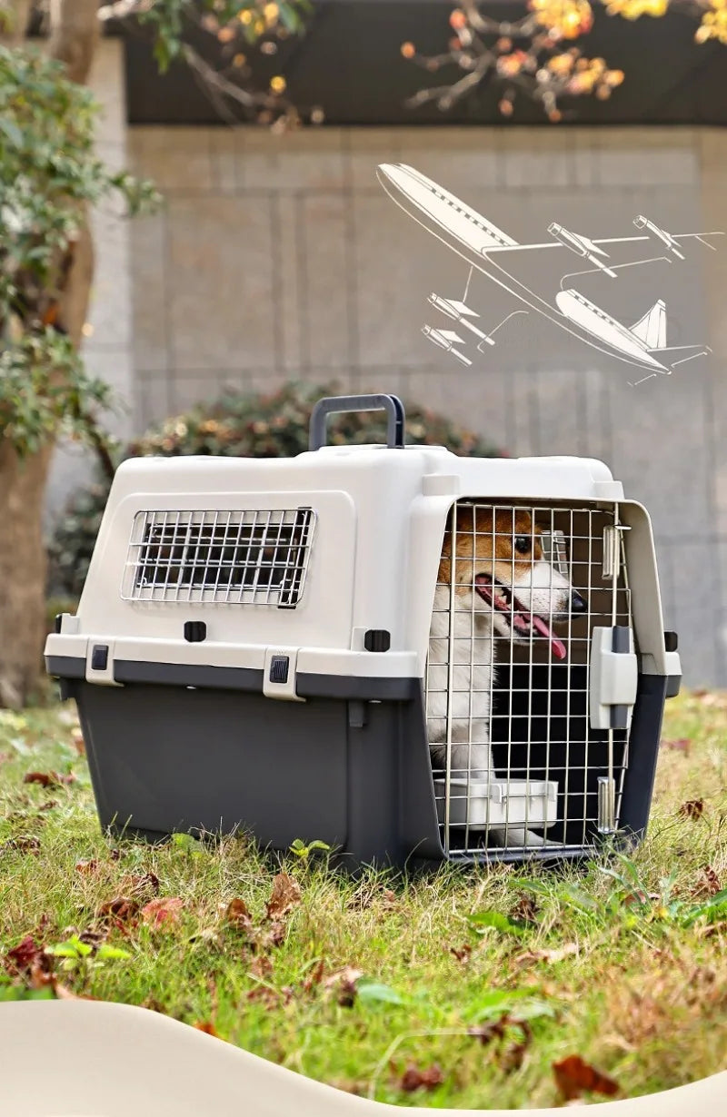 Pet Aviation Case Carrier Rolling Plastic Airline Approved Breathable Pet Cages Wire Door Travel Dog Cat Trolley Case Products