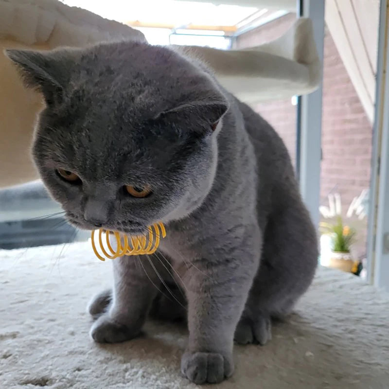 Kitten Cat Toys Wide Durable Heavy Gauge Cat Spring Toy Colorful Springs Cat Pet Toy Coil Spiral Springs 4/8/16/20pcs