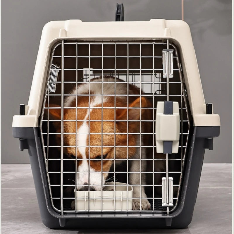 Pet Aviation Case Carrier Rolling Plastic Airline Approved Breathable Pet Cages Wire Door Travel Dog Cat Trolley Case Products