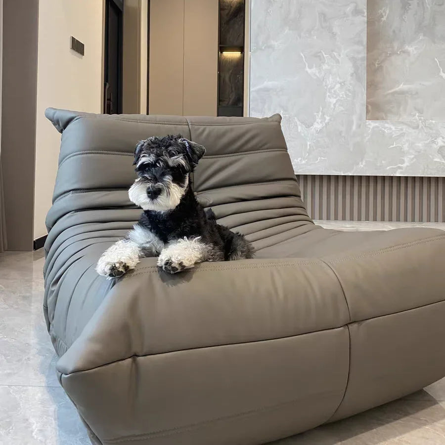 Internet celebrity caterpillar lazy sofa single lying balcony leisure chair can lie down can sleep togo modern simple living roo