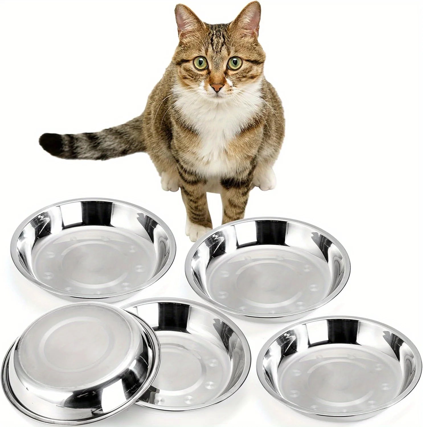 2/6pcs Slip Resistant Stainless Steel Cat Bowl – Low-Profile Wide Design for Kittens Small Pets Anti-Tip Base Feeding Station