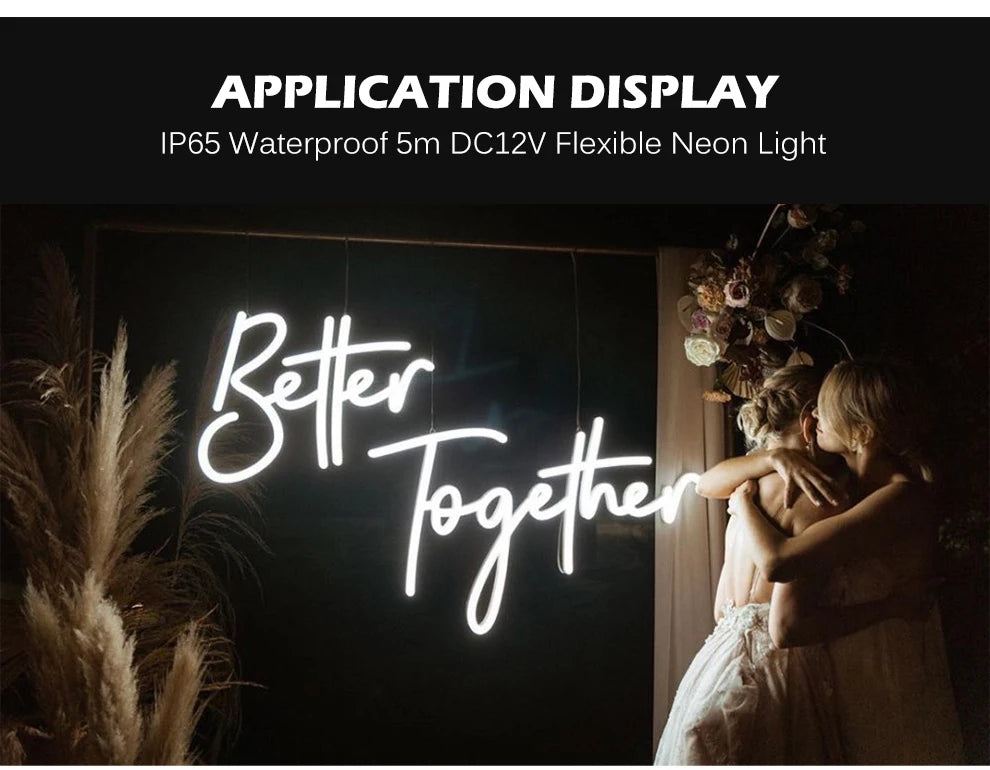 Neon Light Strip LED Flexible Silicone Set 2835 5M 600 Lights Embedded Linear Flexible Light Strip for Ndoors Outdoors Bedroom