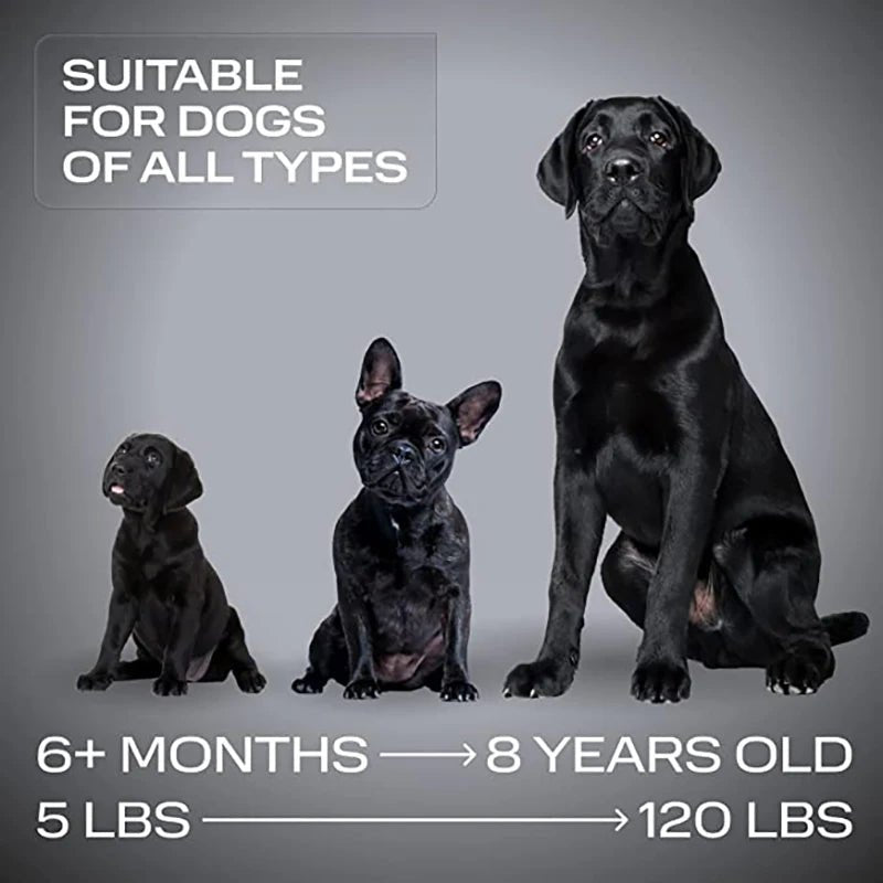 ABQP Ultrasonic Pet Dog Repeller Anti Barking Stop Bark Training Device High Power Dog Training Repellents With USB Rechargeable - Lily.sg Global Shopping