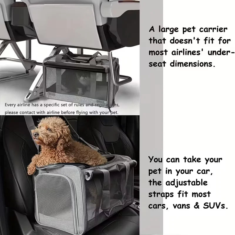 [Airline Approved Pet Carrier] Durable, Breathable Medium Cat And Small Dog Carrier - Lily.sg Global Shopping