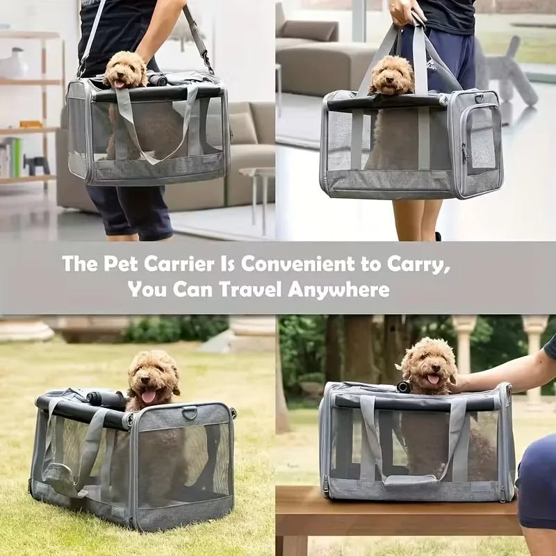 [Airline Approved Pet Carrier] Durable, Breathable Medium Cat And Small Dog Carrier - Lily.sg Global Shopping