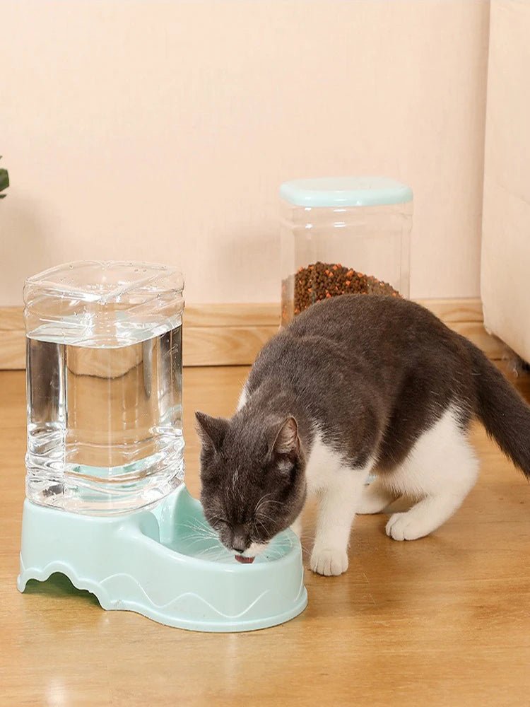 Automatic pet feeder Cat Drinking bowl Cat bowl Large capacity Dog bowl 3.8L combination food storage bucket Pet supplies - Lily.sg Global Shopping