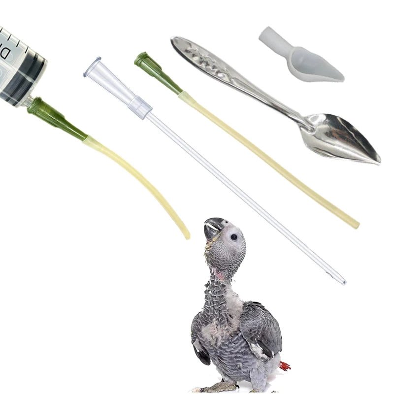 Bird Feeding Dropper Hose Small Pet Feeder Water Needle Tube Liquid Injection Hose Parrot Feeding Syringe Spoon Kits - Lily.sg Global Shopping