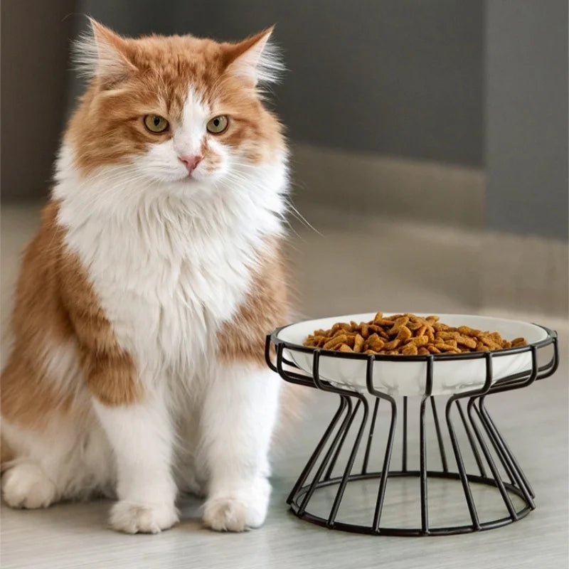 Ceramic For Dog Cat Puppy Kitten Elevated Cat Feeder Drinker Pet Feeder Bowl Pet Supplies Cat Food Bowl Water Feeder Container - Lily.sg Global Shopping