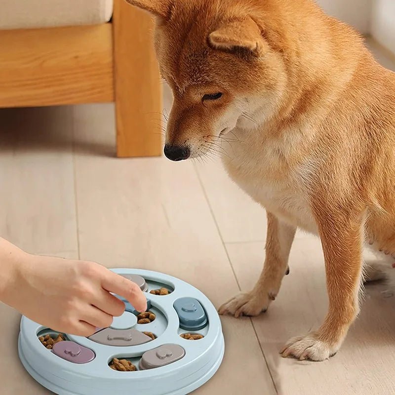 Dog Food Hiding Bowl, Slow Food Training, Dog Educational Toy To Relieve Boredom, Interactive Educational Feeding Toy - Lily.sg Global Shopping