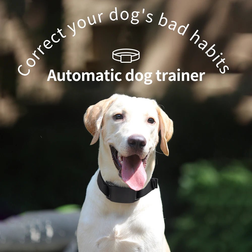 Dog Training Collar Anti - barking Collar Automatic Anti Bark Dog Collar USB Rechargeable Dog Trainer Electric Shock Beep - Lily.sg Global Shopping