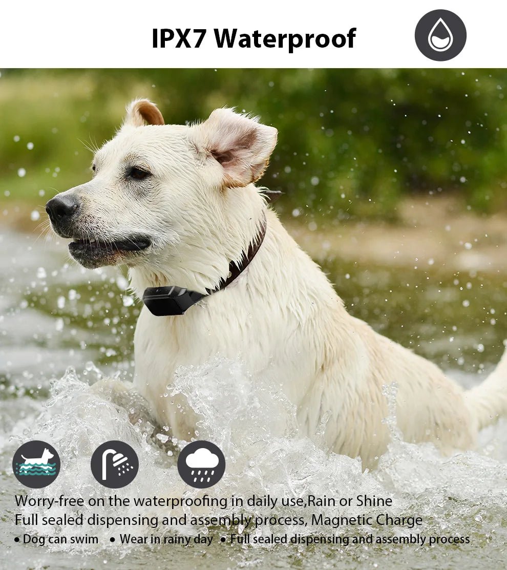 Dog Training Collar Wrap - Around Shock 1000ft Control Distance W/3 Training Modes Beep Vibration Shock Dog Anti - barking Collar - Lily.sg Global Shopping