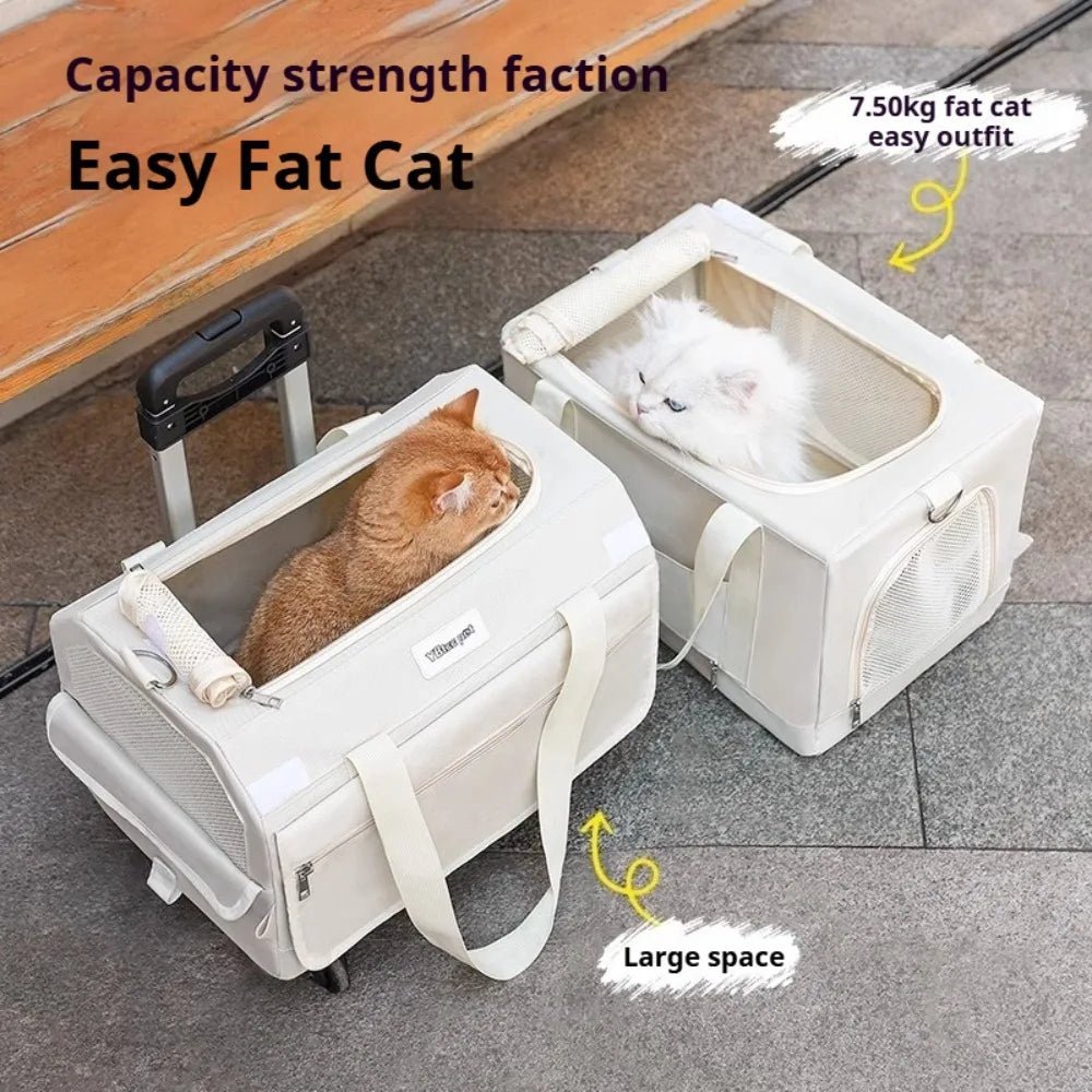 Double Layer Cat Carrier Backpack Foldable Pet Trolley Case Breathable Large Capacity for Two Cats Spring Summer Travel - Lily.sg Global Shopping