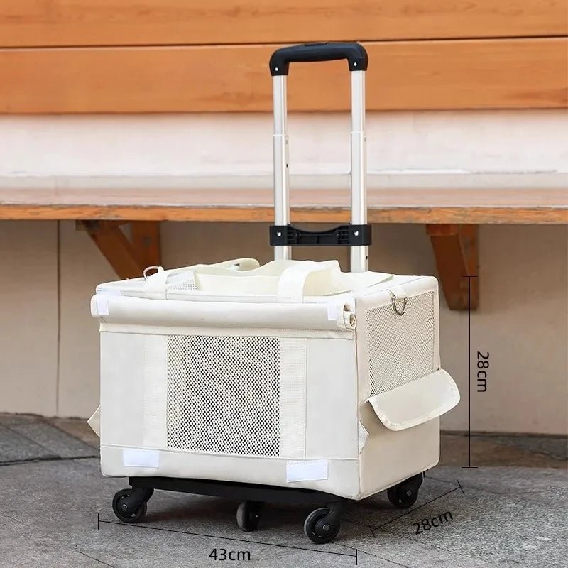 Double Layer Cat Carrier Backpack Foldable Pet Trolley Case Breathable Large Capacity for Two Cats Spring Summer Travel - Lily.sg Global Shopping