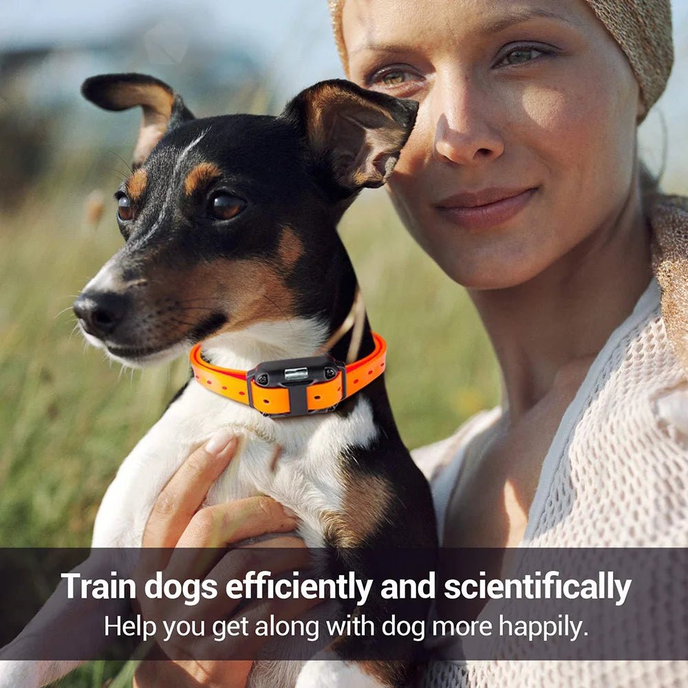 Electric Dog Training Collar Detachable Bark Rechargeable Anti Barking Shock Vibration Collar for All Dogs Pet with Clicker - Lily.sg Global Shopping