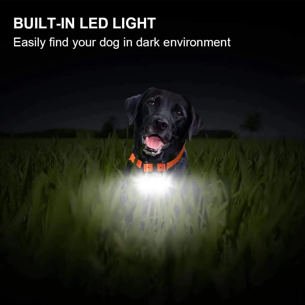Electric Dog Training Collar Detachable Bark Rechargeable Anti Barking Shock Vibration Collar for All Dogs Pet with Clicker - Lily.sg Global Shopping