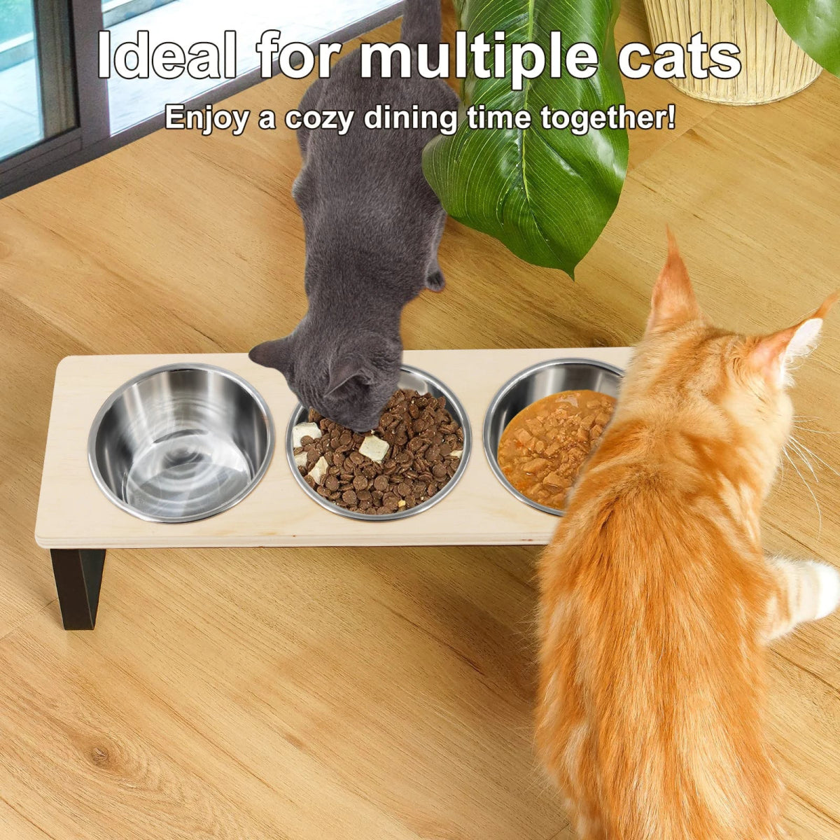 Elevated Cat Bowls Feeder 15° Tilted Raised Feeding & Watering Supplies Pet 3 Stainless Steel Bowls with Stand for Cats Puppies - Lily.sg Global Shopping