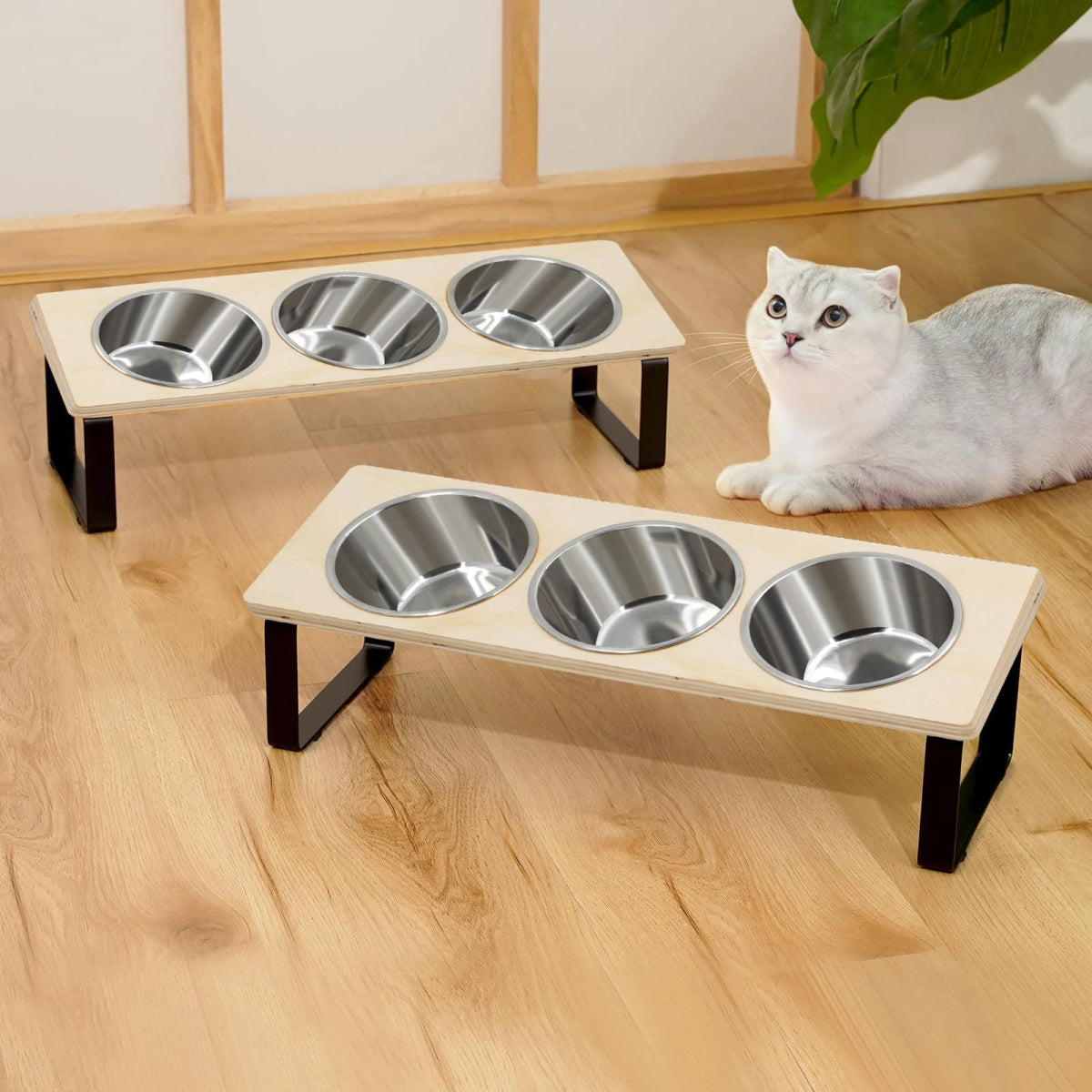 Elevated Cat Bowls Feeder 15° Tilted Raised Feeding & Watering Supplies Pet 3 Stainless Steel Bowls with Stand for Cats Puppies - Lily.sg Global Shopping