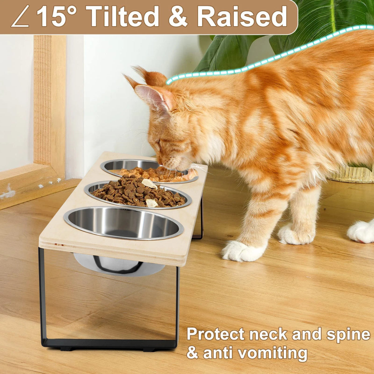 Elevated Cat Bowls Feeder 15° Tilted Raised Feeding & Watering Supplies Pet 3 Stainless Steel Bowls with Stand for Cats Puppies - Lily.sg Global Shopping