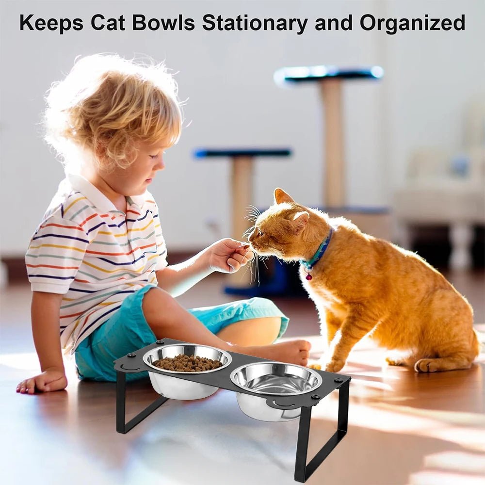 Elevated Cat Food Water Bowls 2 Stainless Steel Bowls with Metal Stand 15° Tilted Raised Cat feeding and water Bowls Pet Puppy - Lily.sg Global Shopping