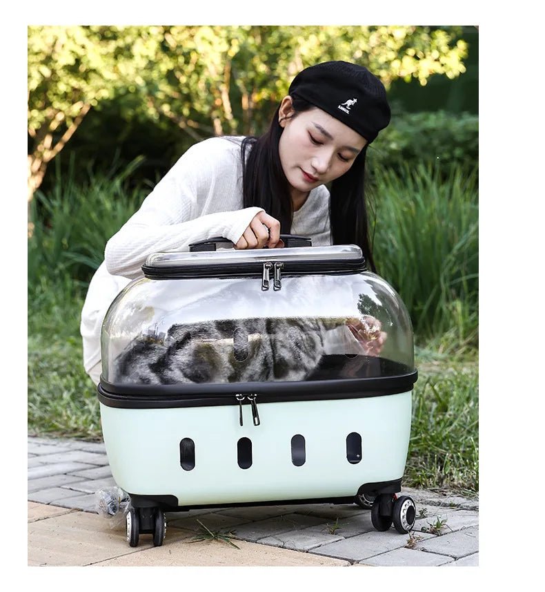 Fashion Transparent Cat Cage Large Capacity Pet Suitcase Breathable Cat Carriers Pull Rod/Handheld Dual Use Cat Transport Cart - Lily.sg Global Shopping