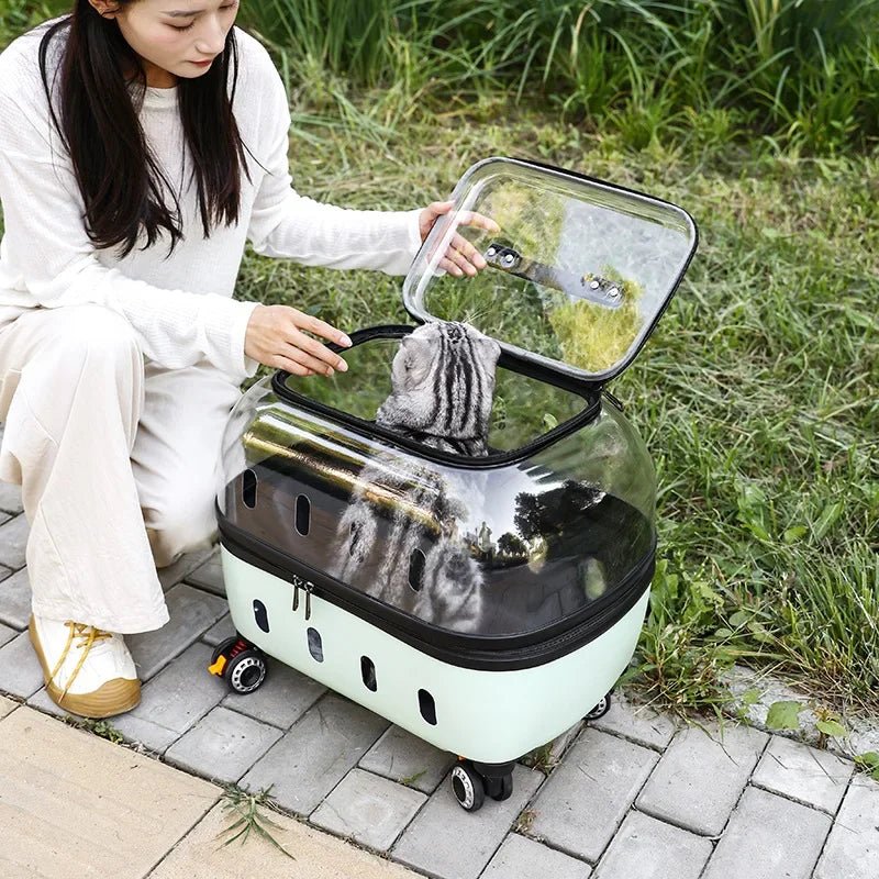 Fashion Transparent Cat Cage Large Capacity Pet Suitcase Breathable Cat Carriers Pull Rod/Handheld Dual Use Cat Transport Cart - Lily.sg Global Shopping