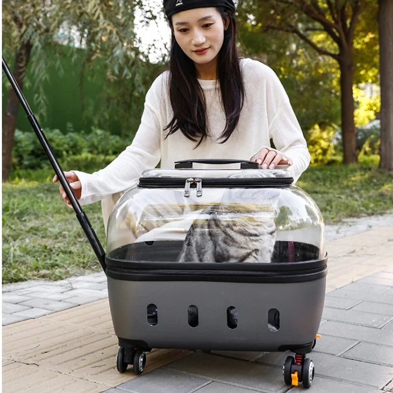 Fashion Transparent Cat Cage Large Capacity Pet Suitcase Breathable Cat Carriers Pull Rod/Handheld Dual Use Cat Transport Cart - Lily.sg Global Shopping
