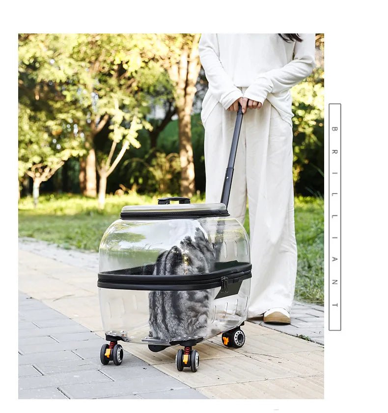 Fashion Transparent Cat Cage Large Capacity Pet Suitcase Breathable Cat Carriers Pull Rod/Handheld Dual Use Cat Transport Cart - Lily.sg Global Shopping