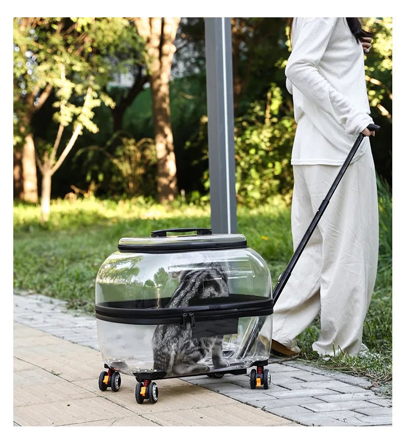 Fashion Transparent Cat Cage Large Capacity Pet Suitcase Breathable Cat Carriers Pull Rod/Handheld Dual Use Cat Transport Cart - Lily.sg Global Shopping