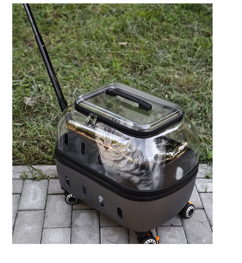 Fashion Transparent Cat Cage Large Capacity Pet Suitcase Breathable Cat Carriers Pull Rod/Handheld Dual Use Cat Transport Cart - Lily.sg Global Shopping