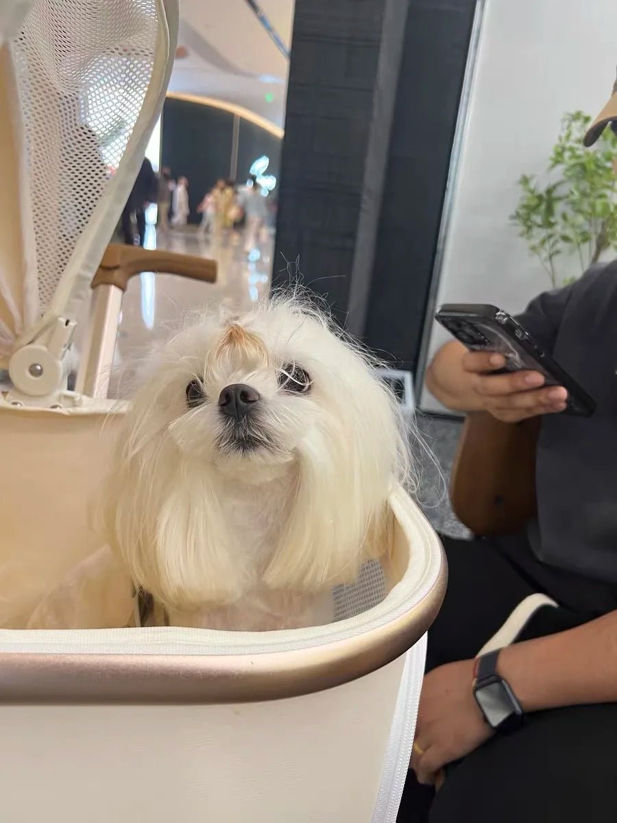 Foldable Strollers For Dogs Cats Milk White PU High Landscape Pet Stroller Outdoor Travel Pet Trolley Bearing Weight 15 KG - Lily.sg Global Shopping