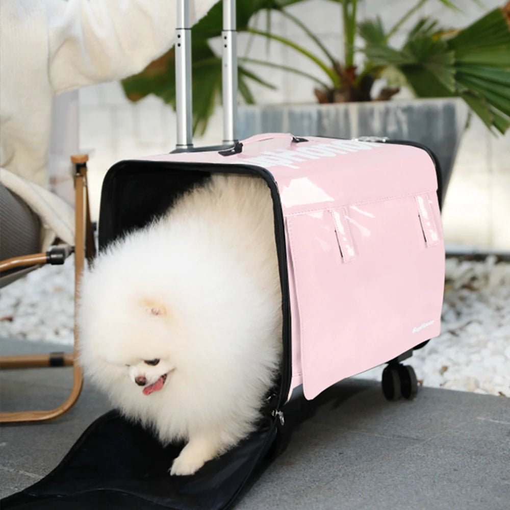 Large Pet Dog Trolley Load 15KG 4 Universal Wheels Pet Stroller Cat Dog Carrier Bag Wheeling Suitcase For Big Pet Travel Case - Lily.sg Global Shopping