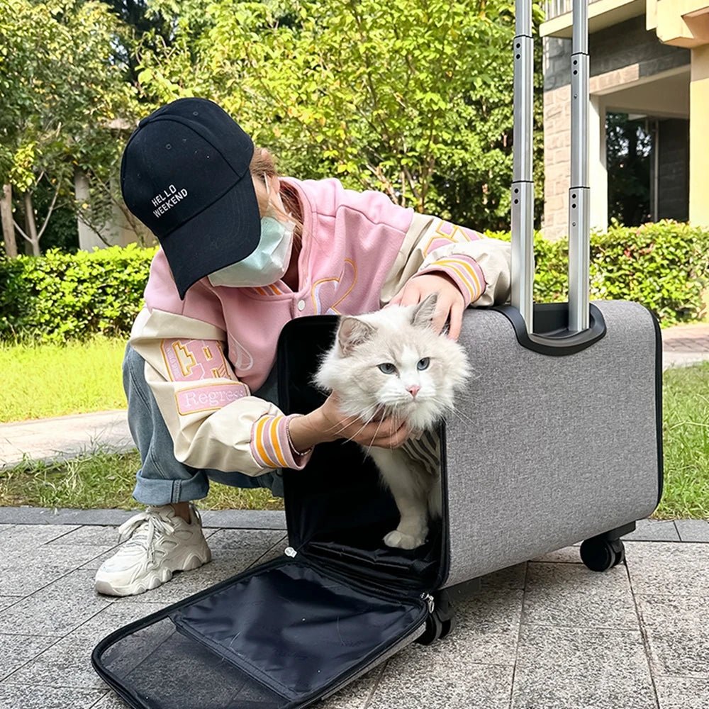 Large Pet Dog Trolley Load 15KG 4 Universal Wheels Pet Stroller Cat Dog Carrier Bag Wheeling Suitcase For Big Pet Travel Case - Lily.sg Global Shopping