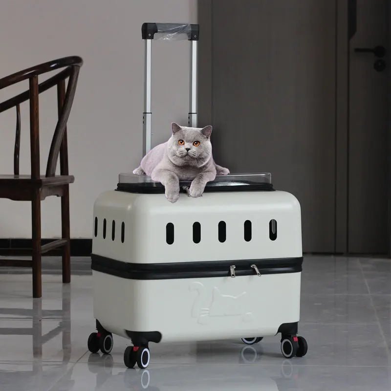 Large Pet Travel Carrier Rolling Pet Transport for Cats & Small Dogs Breathable Cat Suitcase Transparent Skylight Pet Stroller - Lily.sg Global Shopping