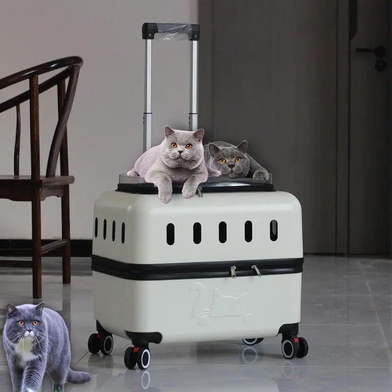 Large Pet Travel Carrier Rolling Pet Transport for Cats & Small Dogs Breathable Cat Suitcase Transparent Skylight Pet Stroller - Lily.sg Global Shopping