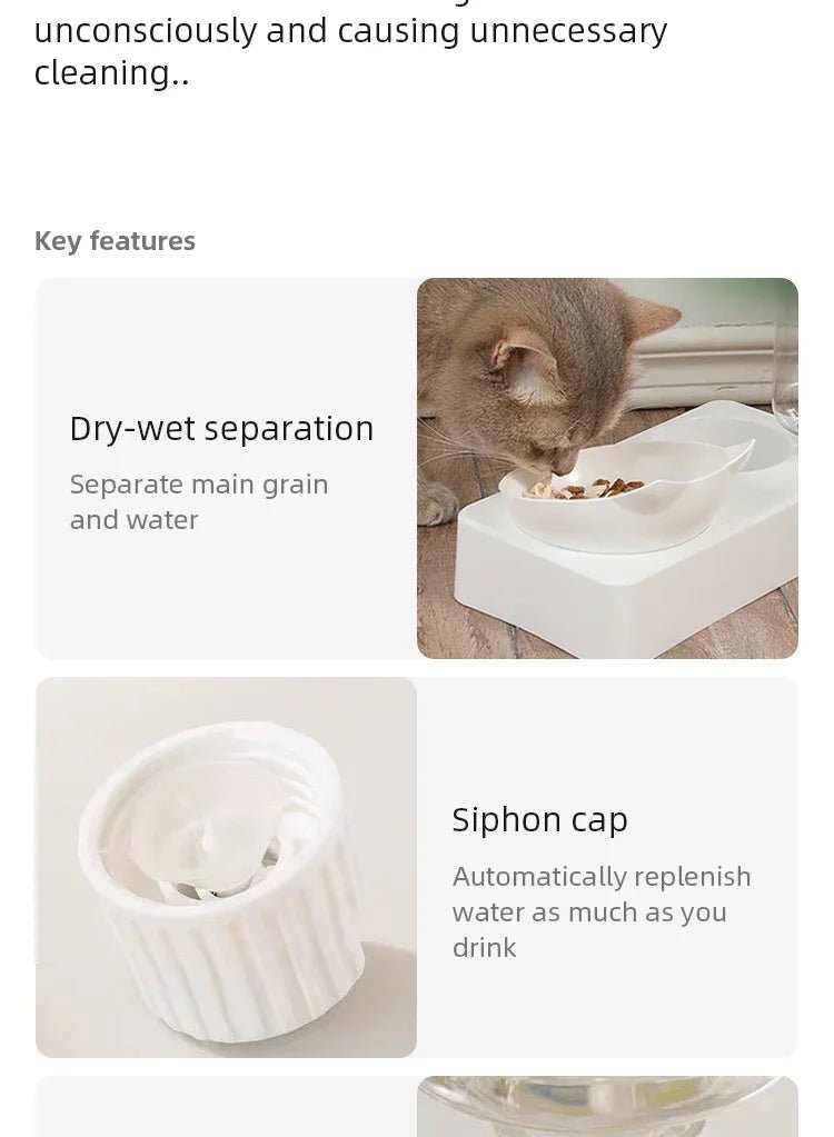 New Pet Bowl 15 Degrees Tilt to Protect Cervical Vertebrae Dog Food Bowl Automatic Drinking Feeder Pet Feeding Supplies - Lily.sg Global Shopping