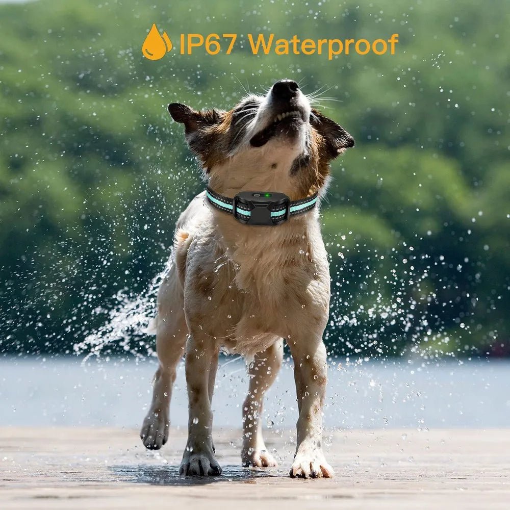 No Shock 3300Ft Dog Training Collar with Remote Rechargeable Waterproof E Collar with Beep Vibration High Quality Pet Training - Lily.sg Global Shopping