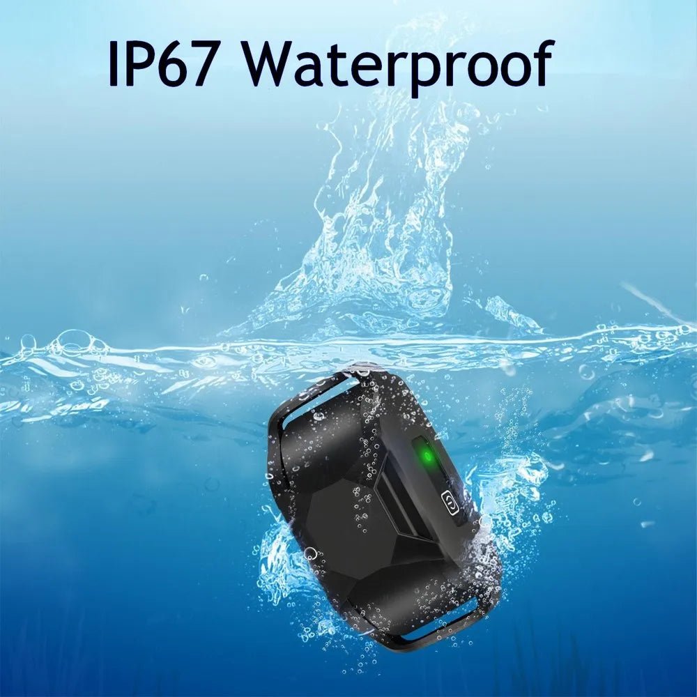 No Shock 3300Ft Dog Training Collar with Remote Rechargeable Waterproof E Collar with Beep Vibration High Quality Pet Training - Lily.sg Global Shopping