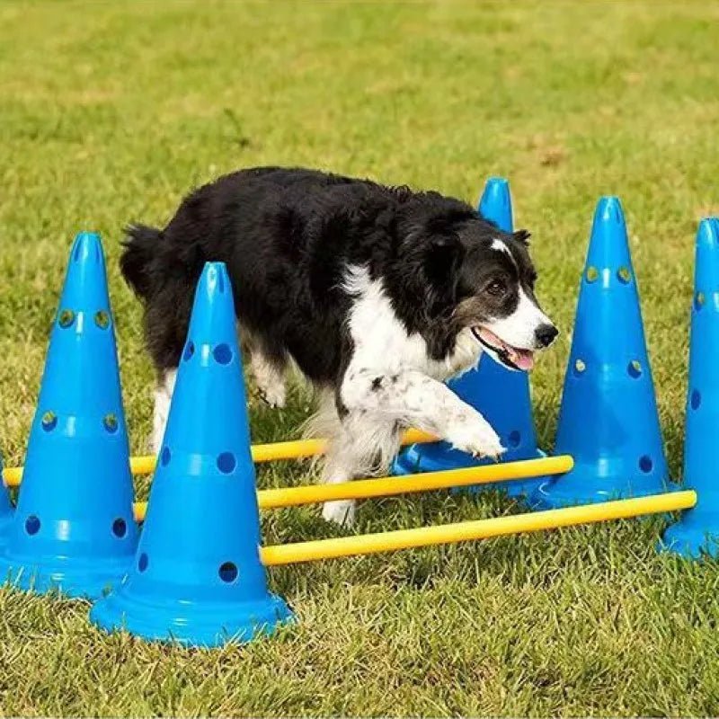 Pet Agility Training Set Jumping Bar Dog Obstacle Training Equipment Hurdle Training Dog Training Device Pet Supplies - Lily.sg Global Shopping