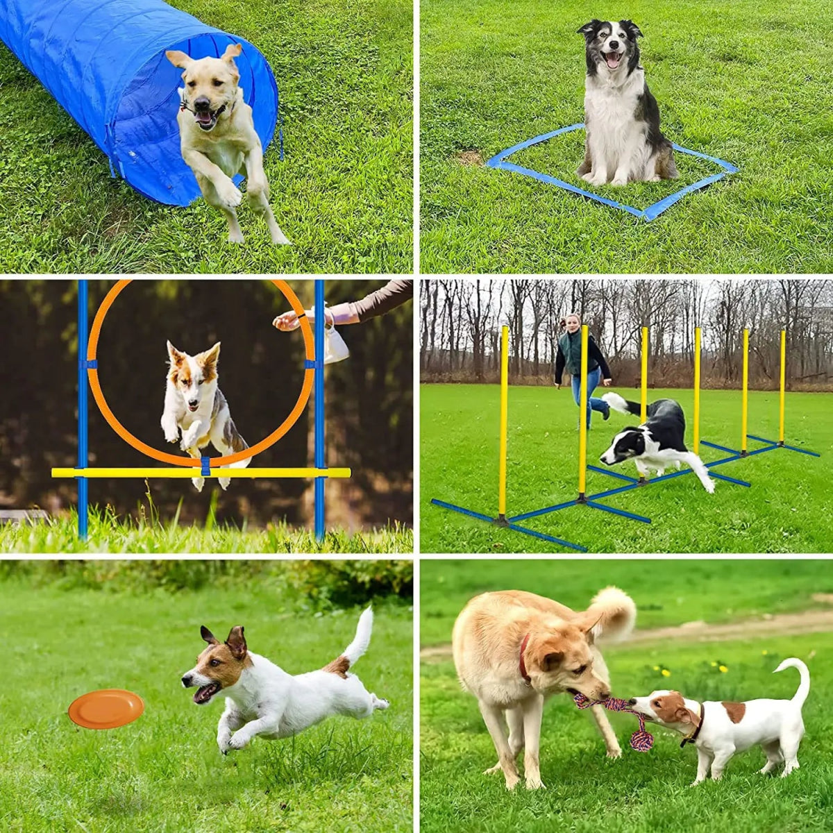 Pet Agility Training Set Jumping Bar Dog Obstacle Training Equipment Hurdle Training Dog Training Device Pet Supplies - Lily.sg Global Shopping