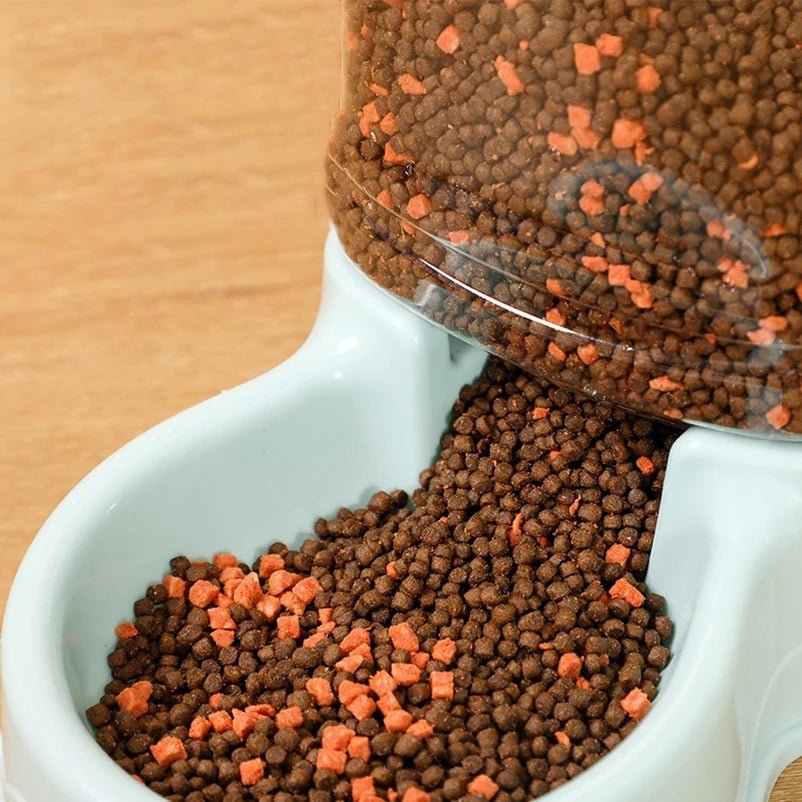 Pet automatic feeder cat drinking water bowl cat bowl dog bowl 3.8L large capacity combination grain storage barrel pet supplies - Lily.sg Global Shopping