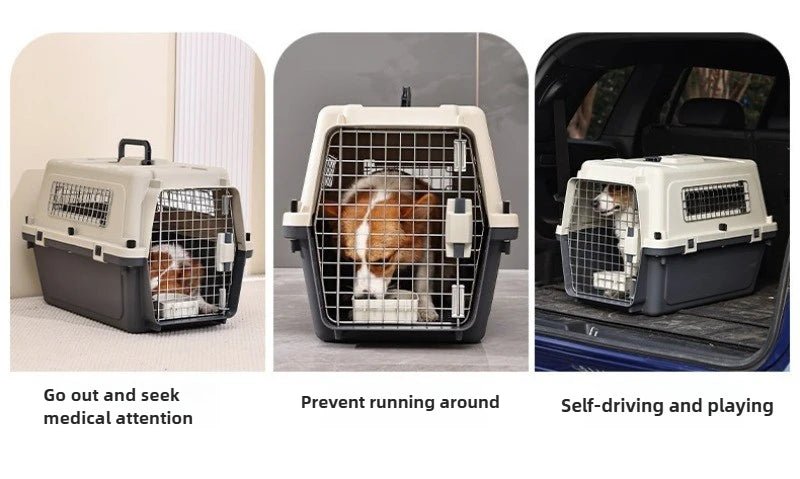 Pet Aviation Case Carrier Rolling Plastic Airline Approved Breathable Pet Cages Wire Door Travel Dog Cat Trolley Case Products - Lily.sg Global Shopping