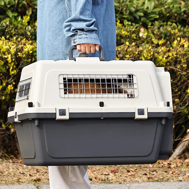 Pet Aviation Case Carrier Rolling Plastic Airline Approved Breathable Pet Cages Wire Door Travel Dog Cat Trolley Case Products - Lily.sg Global Shopping