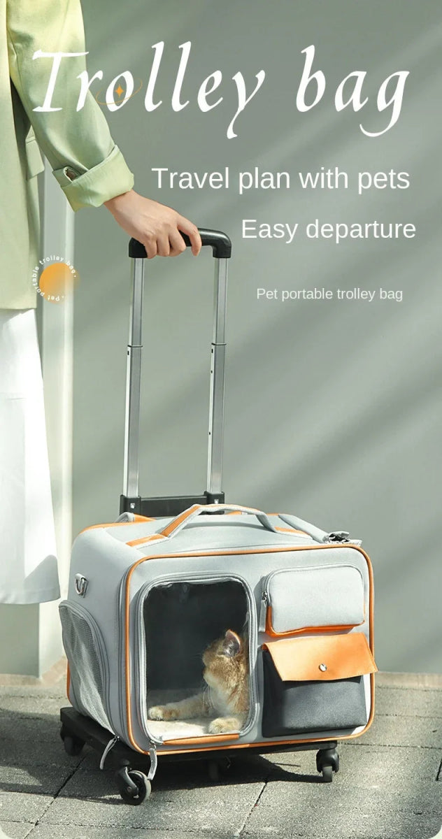 Pet Backpack Portable Pet Stroller Trolley Cases Suitcases Small dog cat Backpack Anti Cat Stress Sense Of Safety Pets Bags - Lily.sg Global Shopping