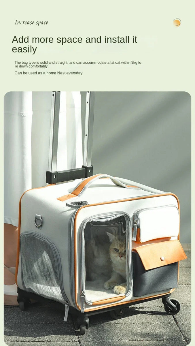 Pet Backpack Portable Pet Stroller Trolley Cases Suitcases Small dog cat Backpack Anti Cat Stress Sense Of Safety Pets Bags - Lily.sg Global Shopping