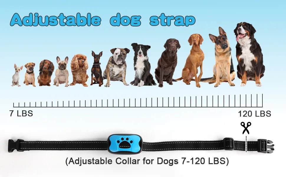 Pet Dog Anti Barking Device USB Rechargeable Dogs Training Collar Ultrasonic Stop Barking Vibration Anti Bark Collar - Lily.sg Global Shopping