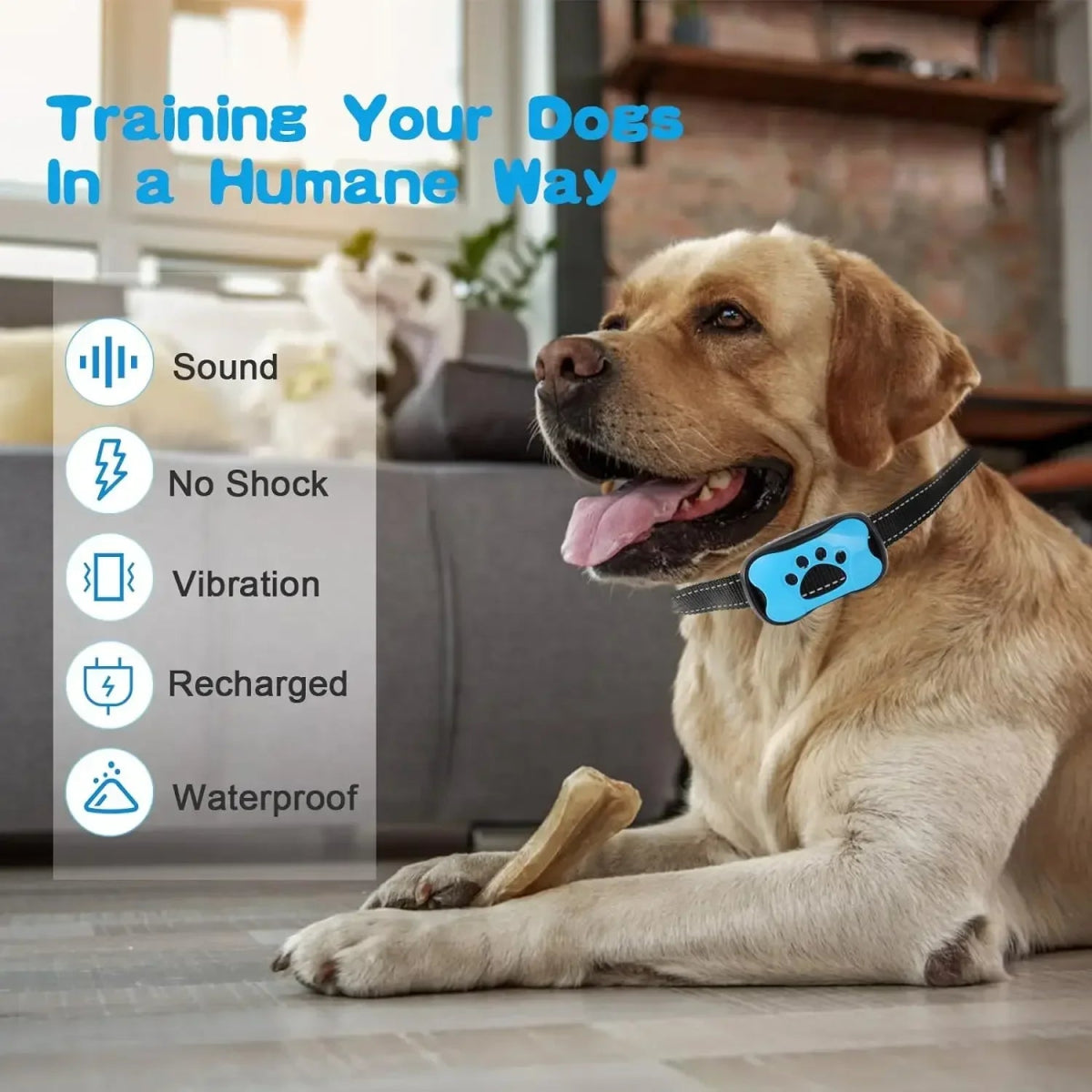 Pet Dog Anti Barking Device USB Rechargeable Dogs Training Collar Ultrasonic Stop Barking Vibration Anti Bark Collar - Lily.sg Global Shopping