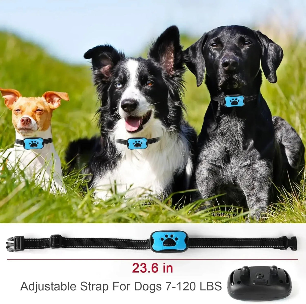 Pet Dog Anti Barking Device USB Rechargeable Dogs Training Collar Ultrasonic Stop Barking Vibration Anti Bark Collar - Lily.sg Global Shopping