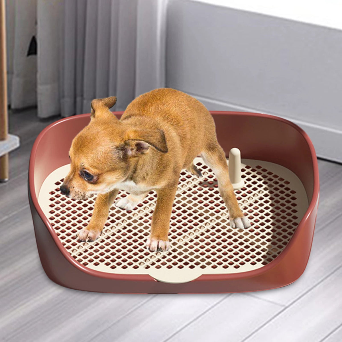 Pet Dog Toilet Portable Dog Potty Pan Trainer Litter Box Anti - Splash Pets Wc Toilet Puppy Kitten Cleaning Tool - Lily.sg Global Shopping
